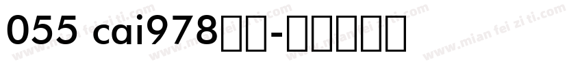 055 cai978字体字体转换